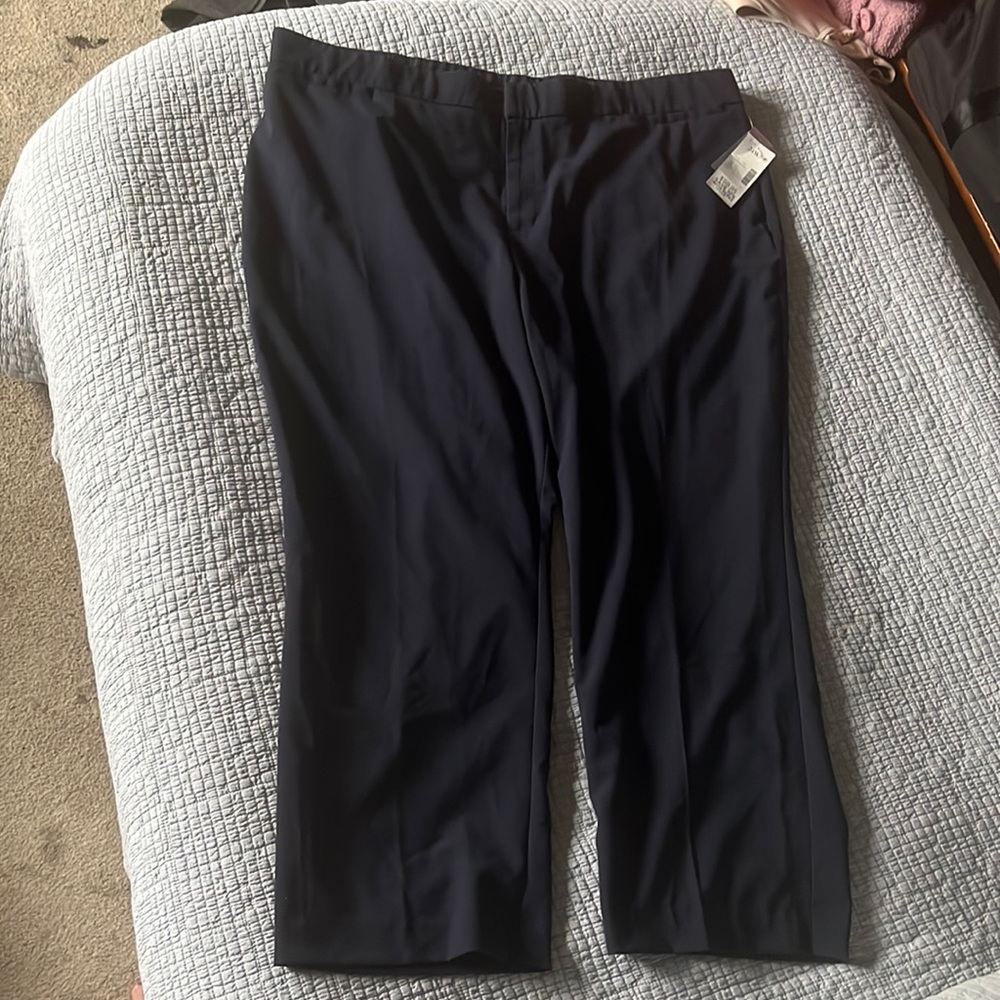 Women’s right fit moderately curvy navy blue pants size 24P.